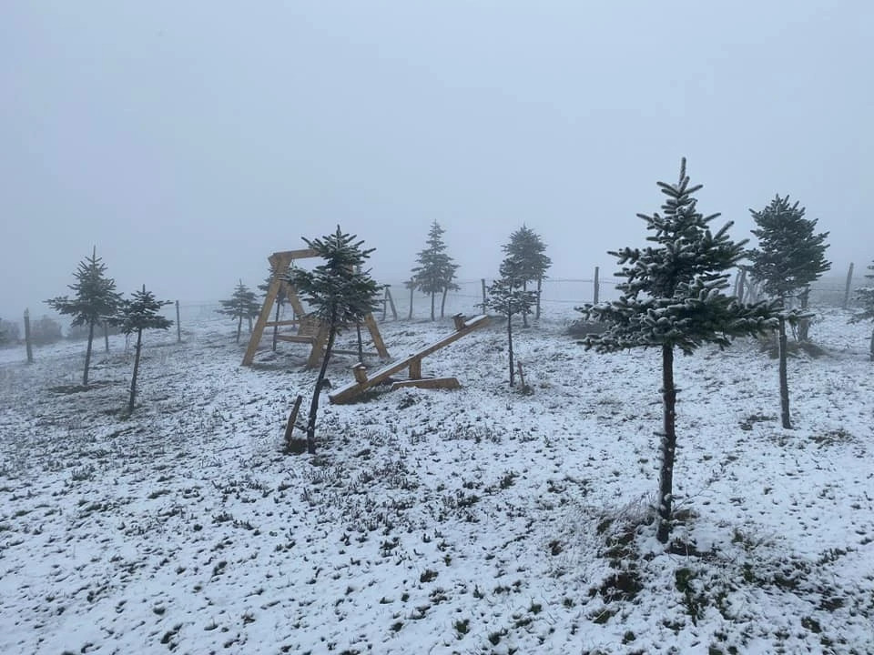 Mevsimin ilk karı yağdı! Yurdun dört yanı beyaza büründü